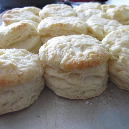 Riverboat Bed & Breakfast 纳奇兹 外观 照片